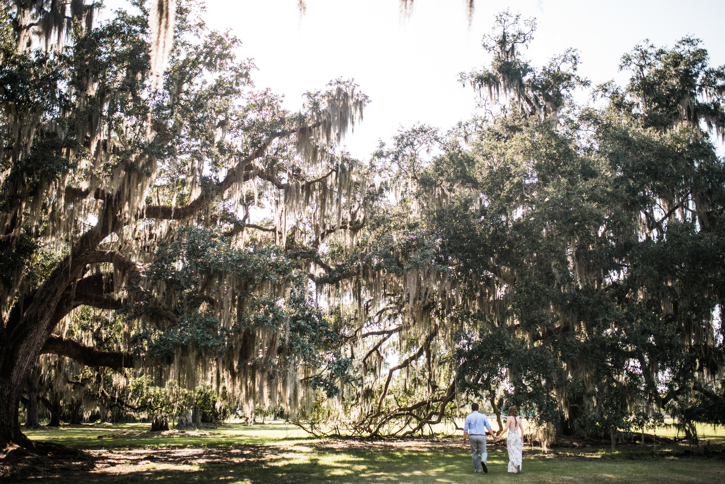 Fountainbleu State Park.jpg