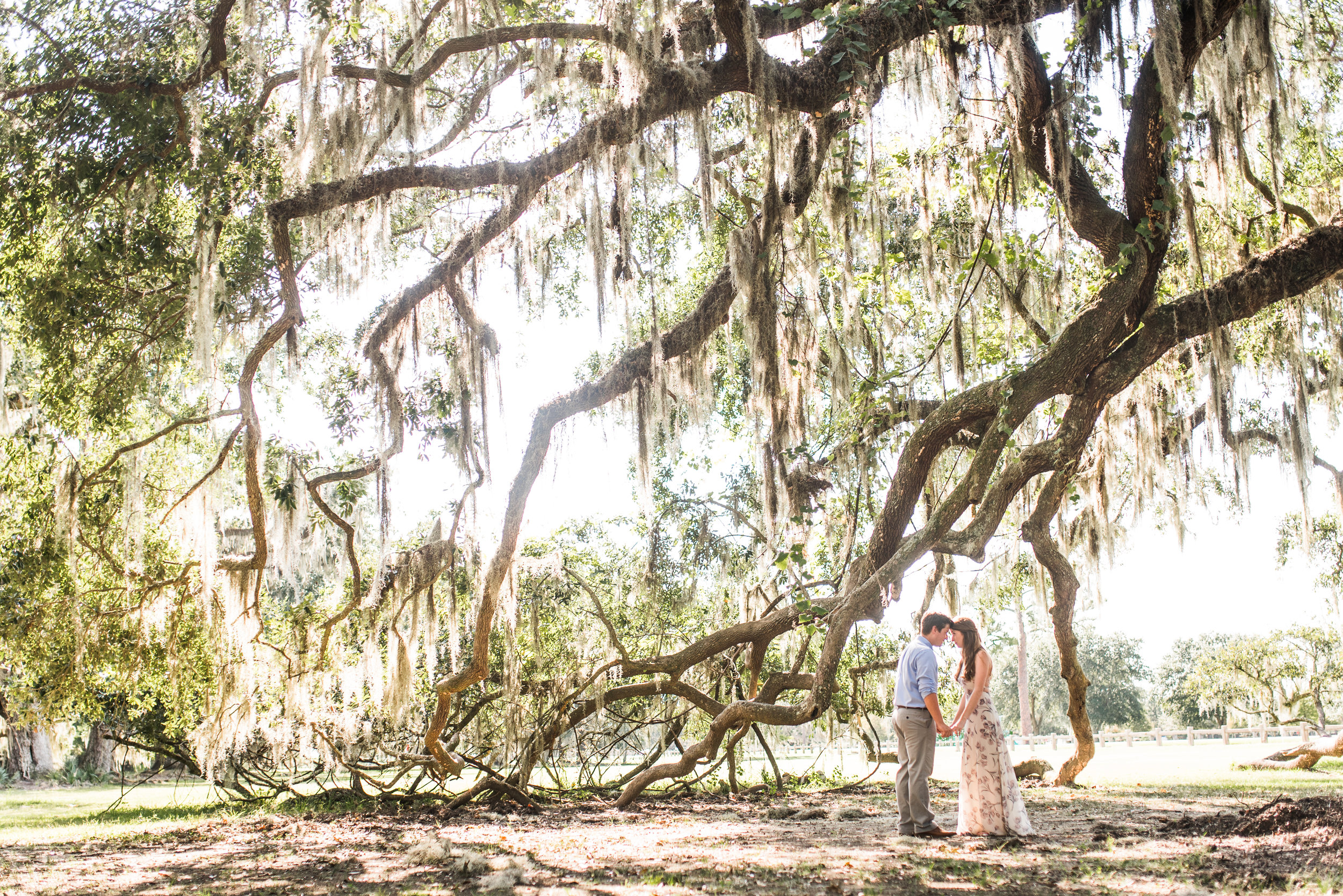 Fountainbleu State Park.jpg